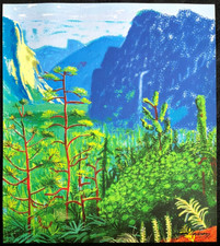 David Hockney Lithographie COA