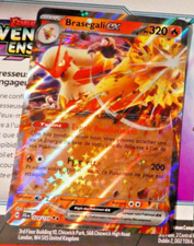 Pokemon Aventures Ensemble