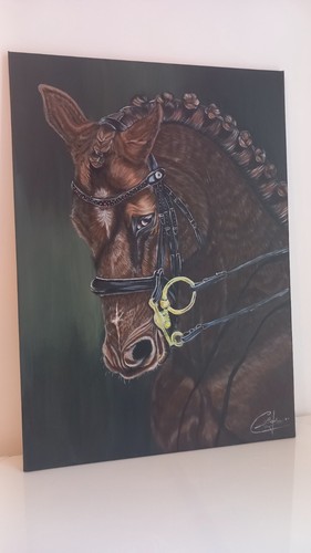 Magnifique tableau peinture - tableau,