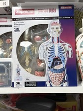 SUPREME Male & Female Anatomy