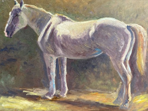 Etude portrait cheval - etude, &