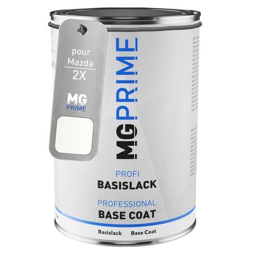 Peinture voiture pot pour