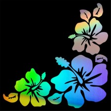 Hibiscus fleurs Sticker