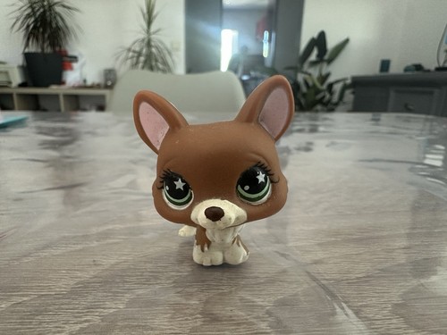 Petshop chien corgi - 💖🌺petshop,