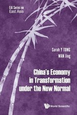 Sarah Yueting Ton China's Economy In Transformation Under The New Norma (Relié)