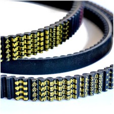Ceinture Mitsuboshi Dinli DL
