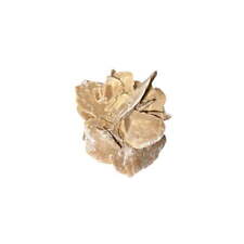 Pierre brute Rose des sables