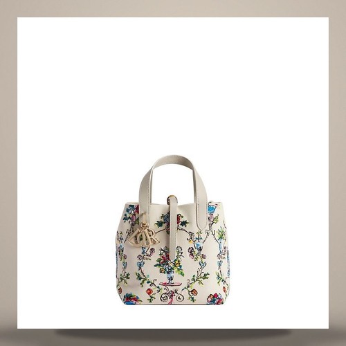 Louis vuitton dior - louis,