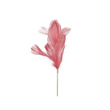 PIQUE PLUME VOLAILLE