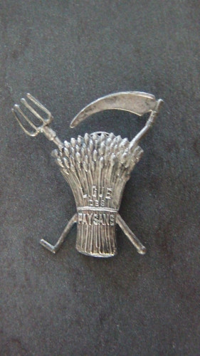 Insigne politique ligue des - insigne,