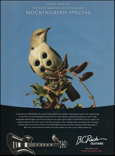 Rich mockingbird special - mockingbird,