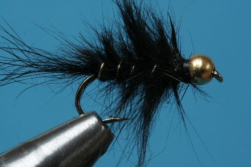 Fliegentom piéces oreille - 3,