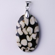 ★☆ PALÉTUVIER FOSSILE 37,01 CT - Pendentif argent - A24-180* ☆★