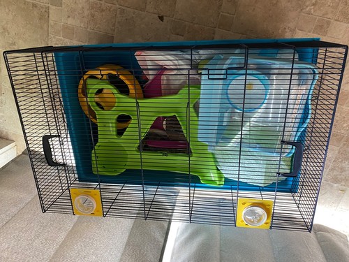 Hamster cage rodent - hamster,