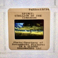 SPIRIT L'ÉTALON DES PLAINES