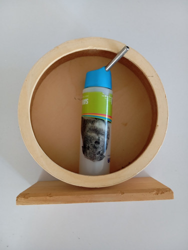 Roue bois avec abreuvoir - bois,