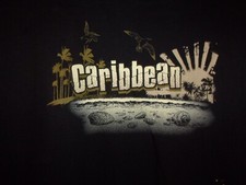 Diving Caribbean black M t