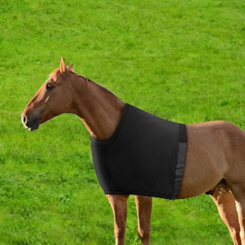 Protège épaules pour chevaux - protège-épaules,