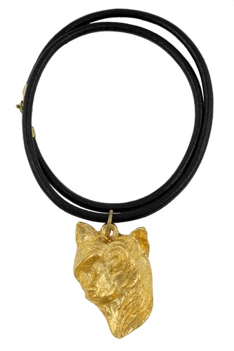 Chien chinois crête - chinois,