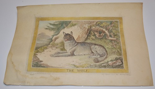 Antique 1788 charles catton - 1788,