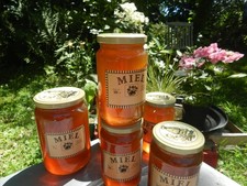 miel châtaignier  ronce  les abeilles de christian  2 pots 500 soit 1 kilo c