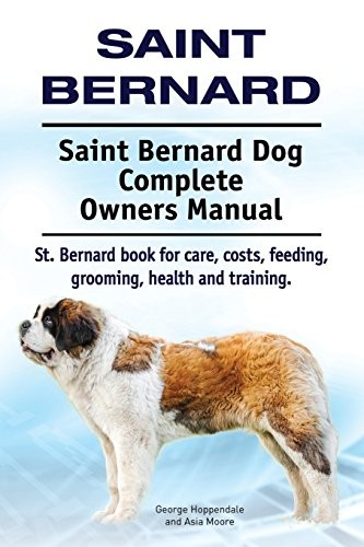 Saint bernard - saint,