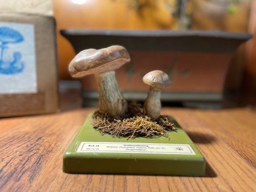 Vintage somso bitter bolete - bitter,