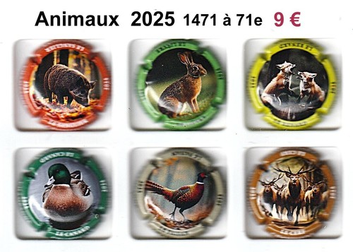Capsules champagne - de,