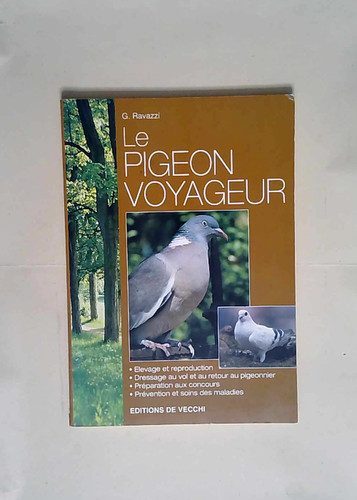 Pigeon voyageur - le,