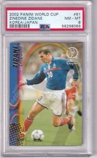 2002 Panini Coupe Du Monde N°