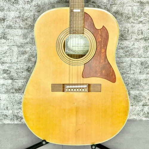 Guitare acoustique silver tone - acoustique,