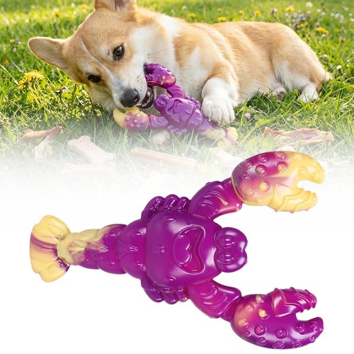 Jouet chien nylon résistant
