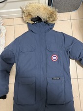 canada goose