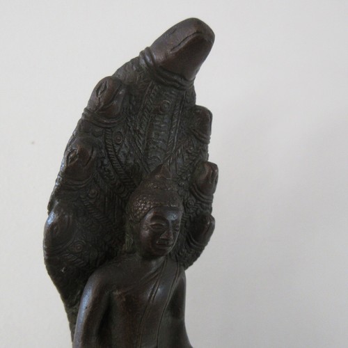Bronze bouddha cobra - cobra, à