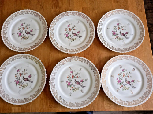 Lot assiettes plates - 6,