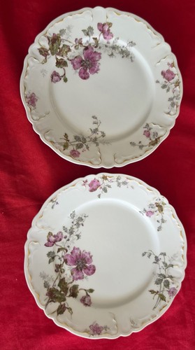 Haviland limoges assiettes - haviland,