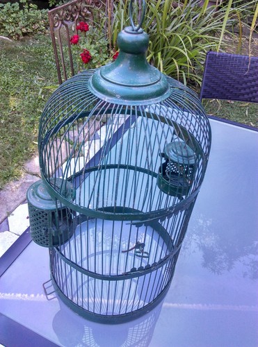 Cage oiseaux fer - oiseaux,