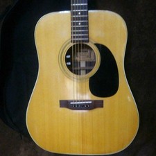 Electric acoustic guitar - electric,
