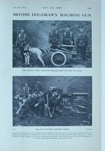1914 ww1 impression militaire - 1914,
