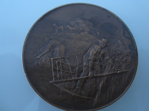 Médaille française thème - médaille,