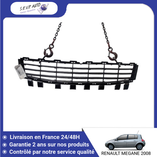 Grille pare choc - 🇫🇷,