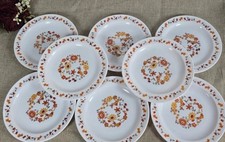 ?8 Petites Assiettes Arcopal Vintage France D. 19 Cm Fleurs Tournesol.