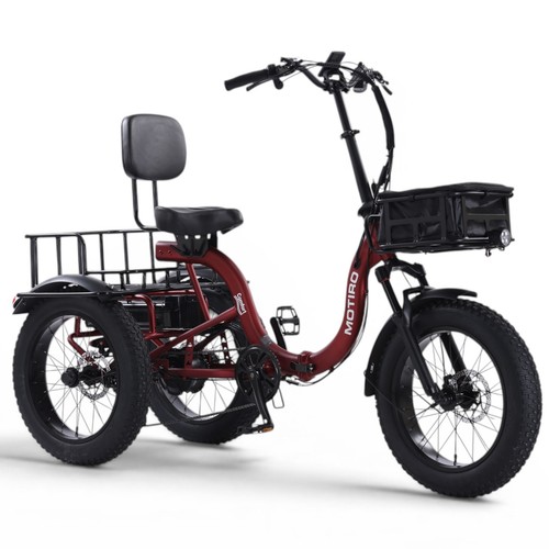 Tricycle fatbike - fatbike,
