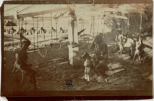 Photo inde île - photo,
