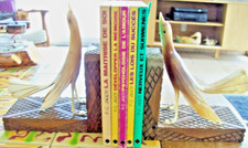 SERRE LIVRES CORNE de BOVINS