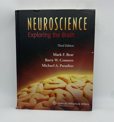 Neuroscience exploring the - :,