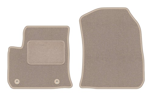 Tapis sol avant - tapis,