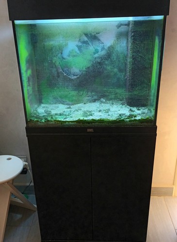 Aquarium juwel 120l avec - aquarium,