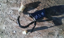 relais 130cv honda 4t 2006 130 cv relay