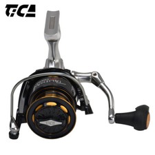 TICA TALISMAN Saltwater